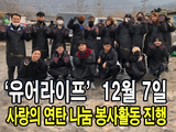 대노라이프 이미지