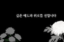 새로운 업종?…‘애도 카페’ 컨셉은 어떨까